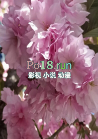 调教小狗表情包